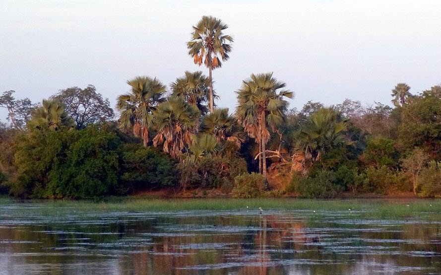 Niokolo-Koba National Park, Tambacounda Region, Senegal